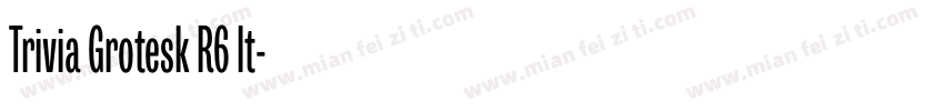 Trivia Grotesk R6 It字体转换